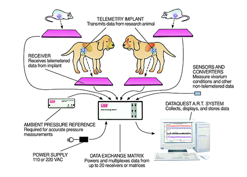 DSI全植入式无创遥测系统 DSI全植入式无创遥测系统